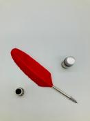 Plume colorée