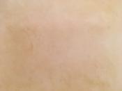 Parchemin véritable