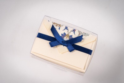 Mini cartes et enveloppes Fleurs bleues