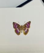 Coffret Papillon